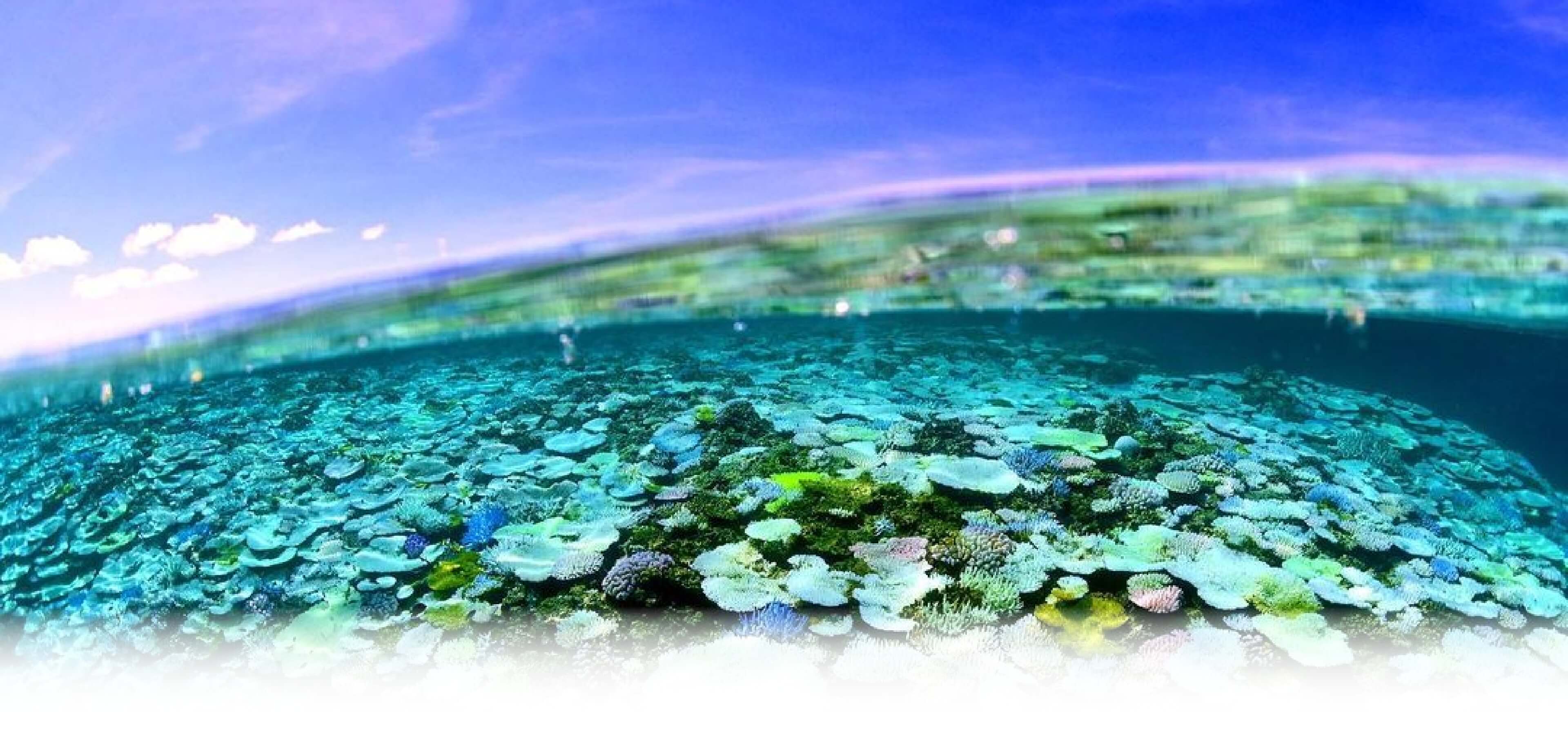 石垣島の海